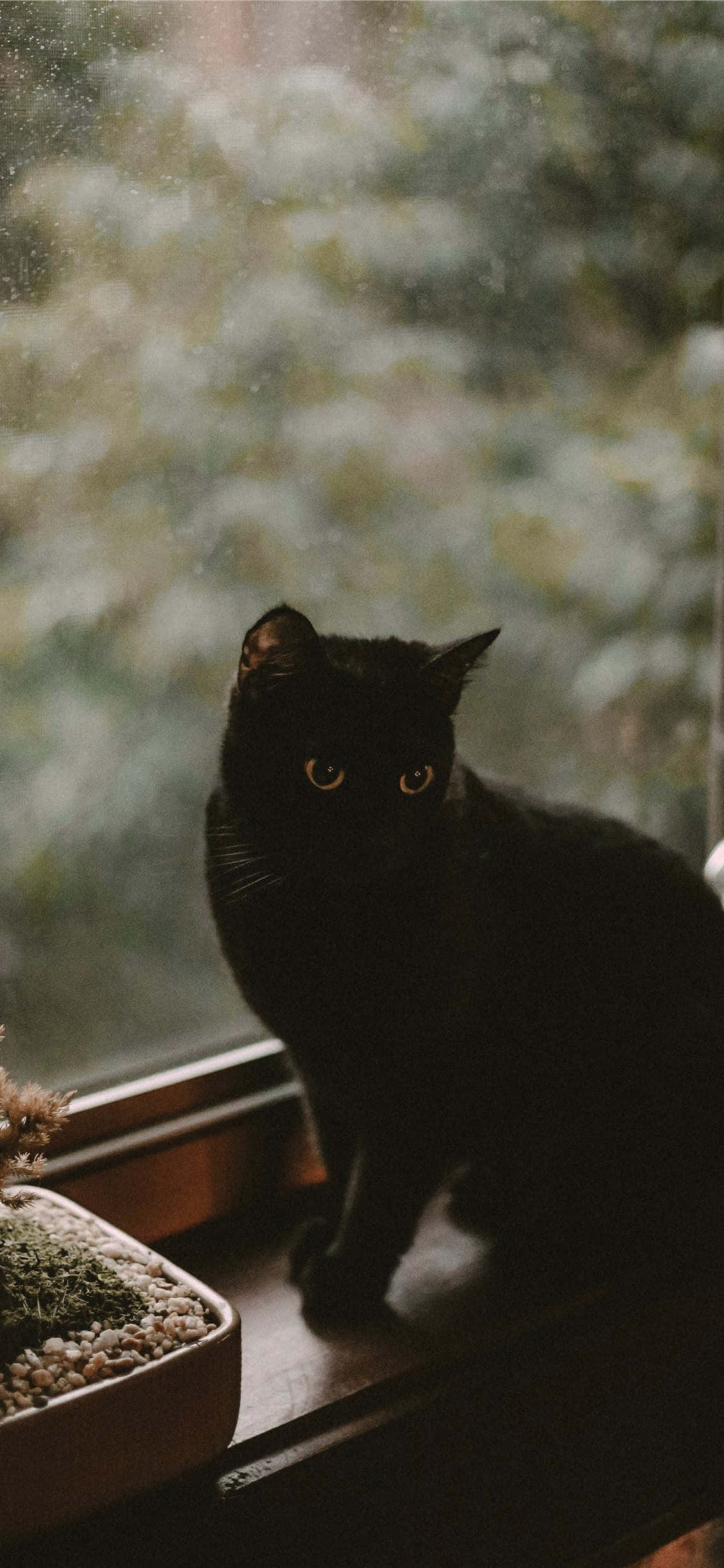 Witch Aesthetic Wallpaper