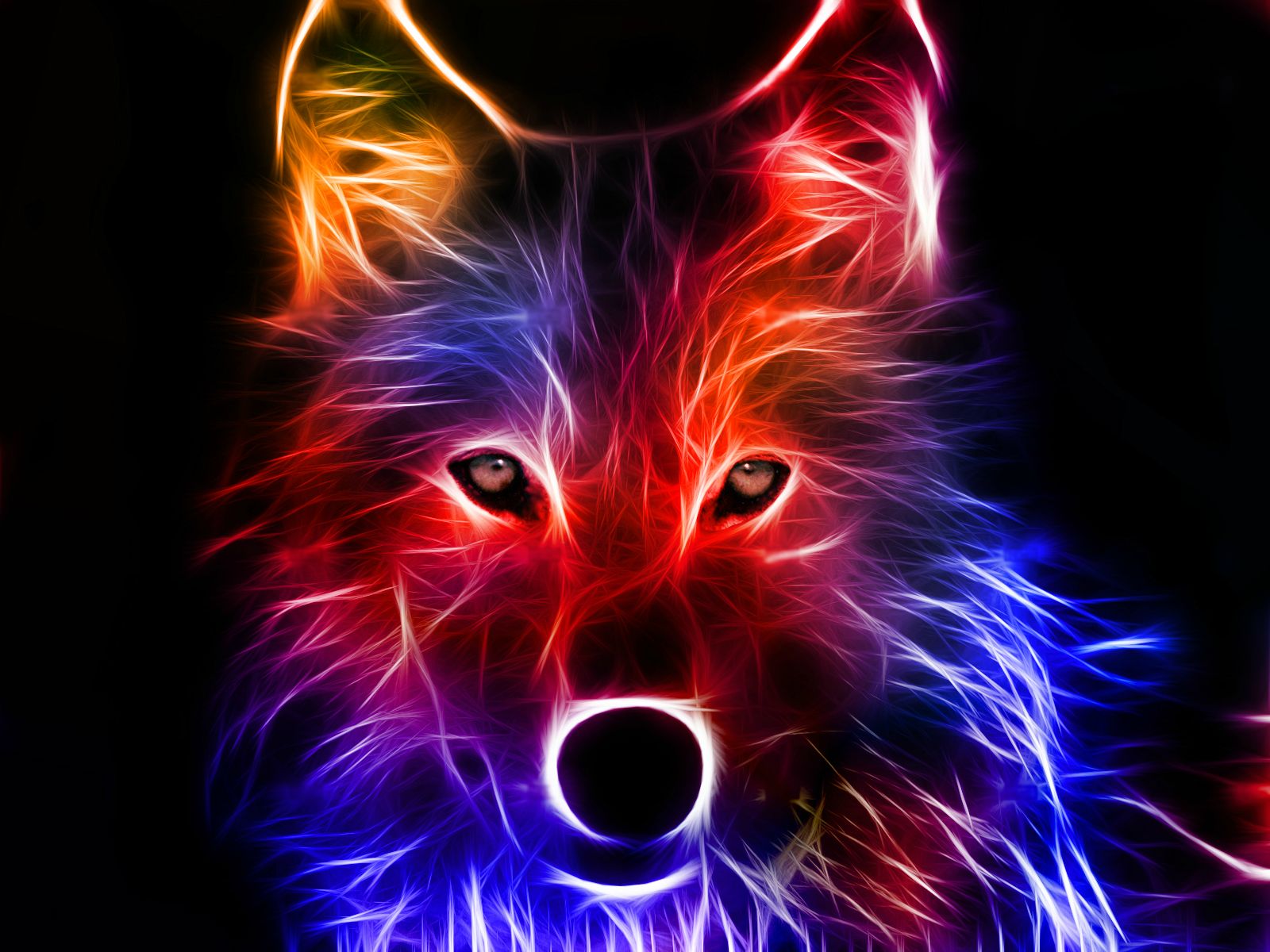 Cool Colorful Wolf Puter Background Share This Awesome