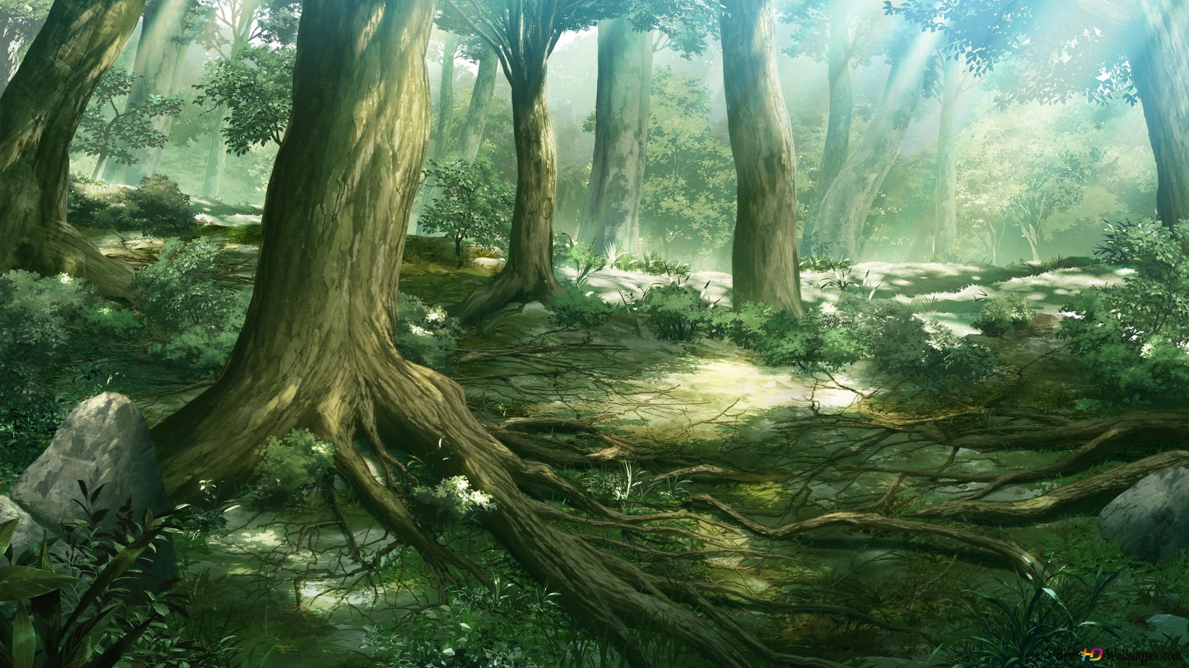 Anime Fantasy Forest 2k Wallpaper