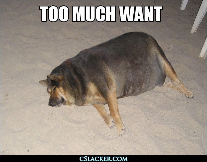 Funny Fat Dogs Desktop Wallpaper Animal
