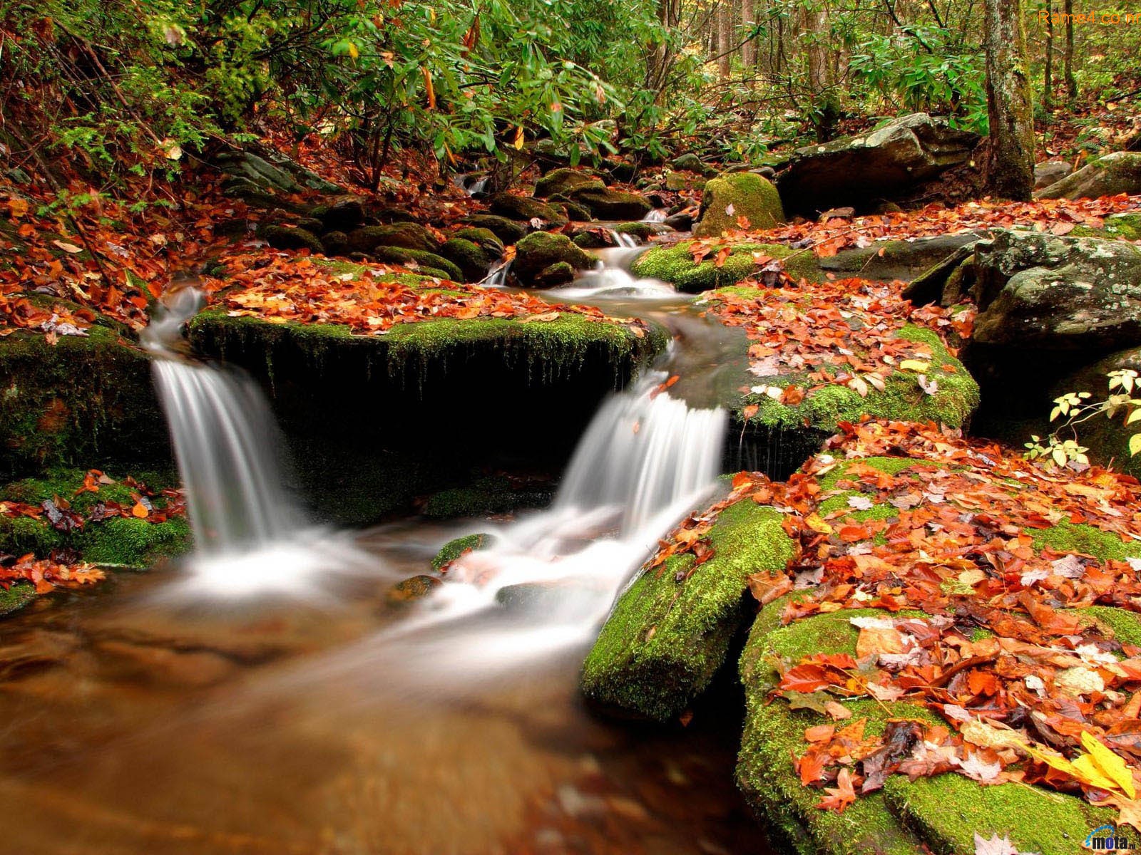 A picturesque waterfall cascades over moss-covered rocks in an autumnal forest, creating a tranquil desktop wallpaper scene
