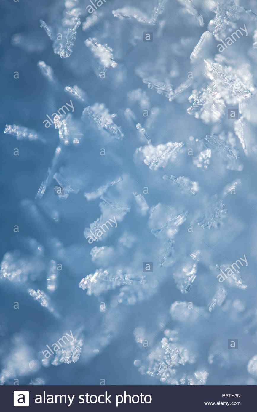 Macro Look Of Snowflakes Snow Crystals Vertical Abstract Winter