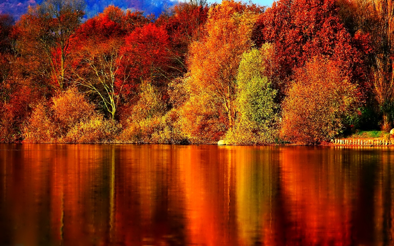 Autumn Image Wallpaper HD And Background