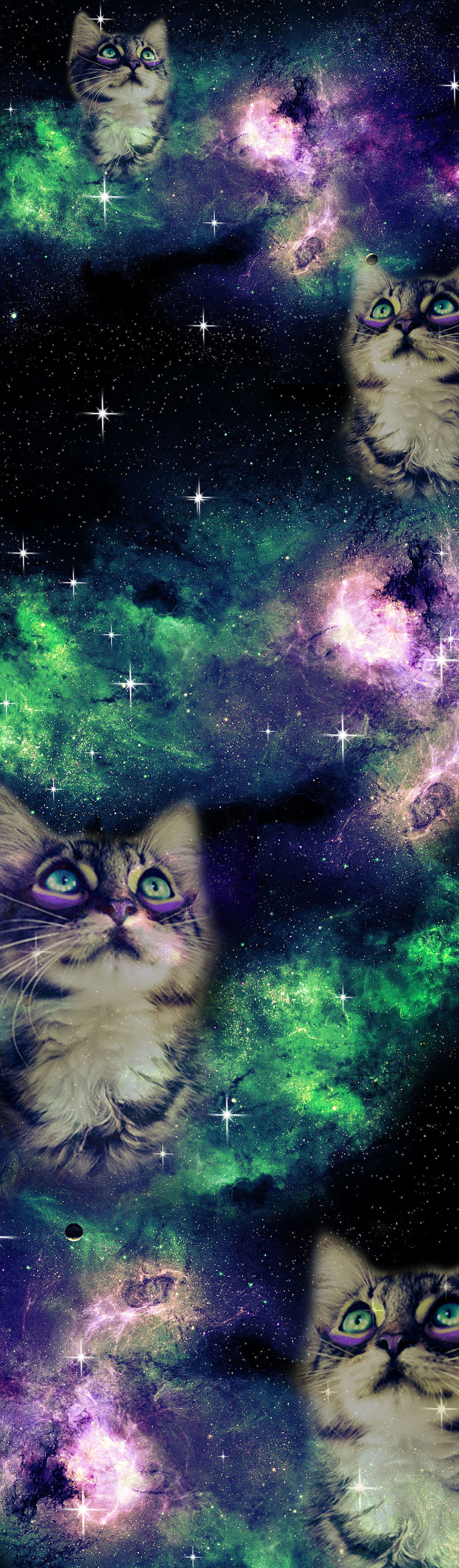 Space Cat Background Galaxy Box Background By