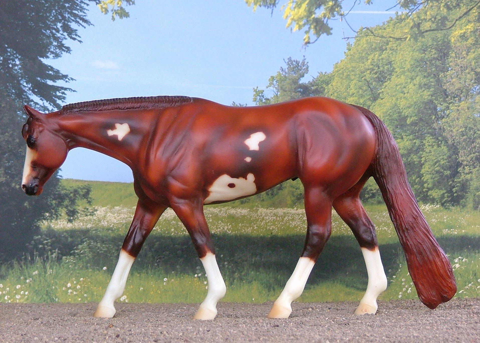 Paint Horse Wallpaper