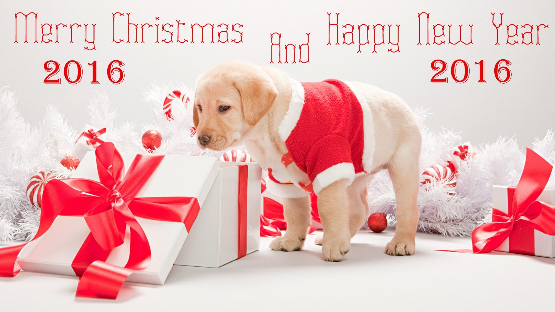 Holiday New Year HD Wallpaper