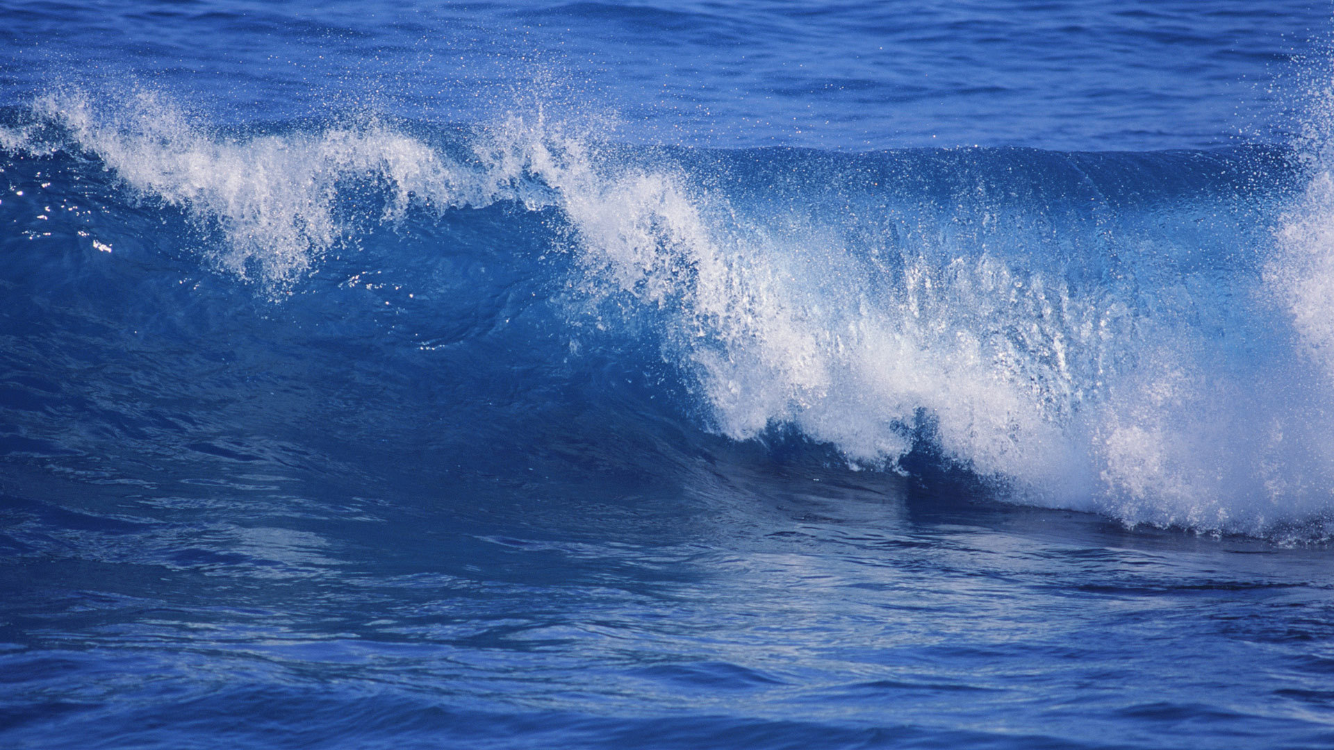 animated ocean waves