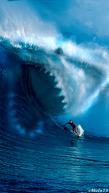 Surfing Screensaver Wallpaper