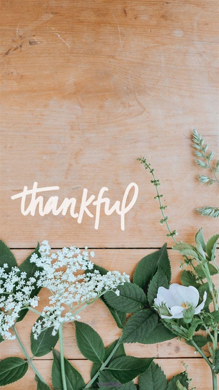 Thankful Scripture Wallpaper Phone Quotes Bible