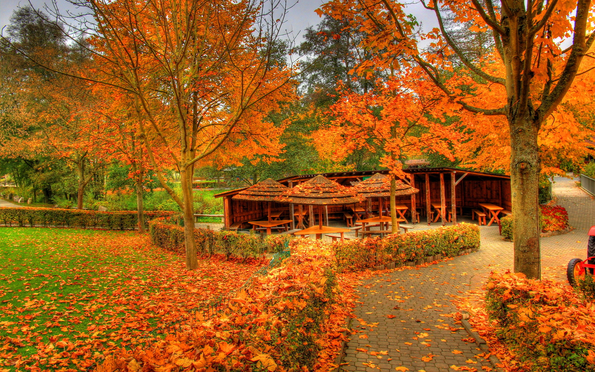 Landscapes Autumn Fall Color Wallpaper