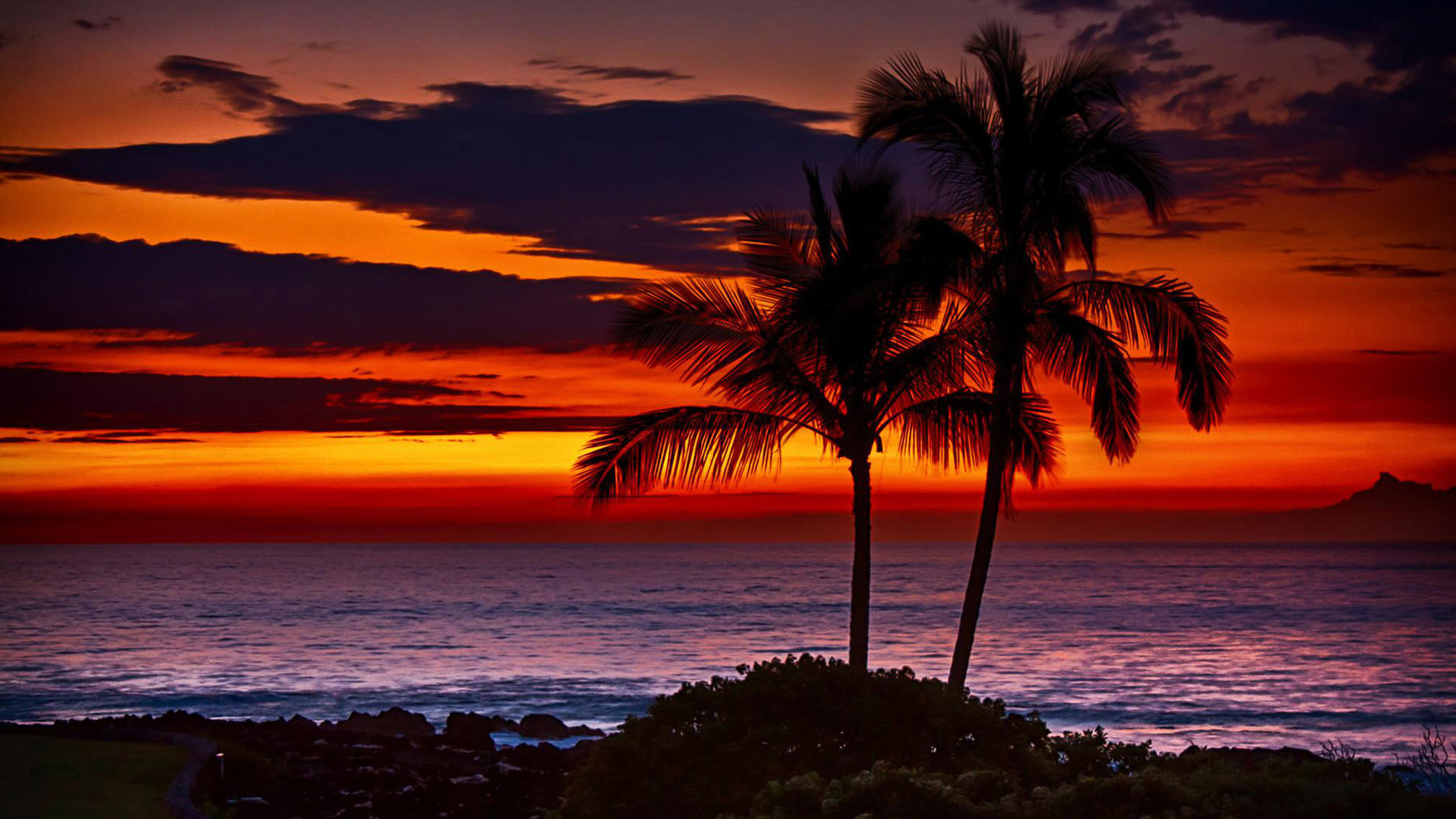 Tropical Sunsets Wallpaper Background