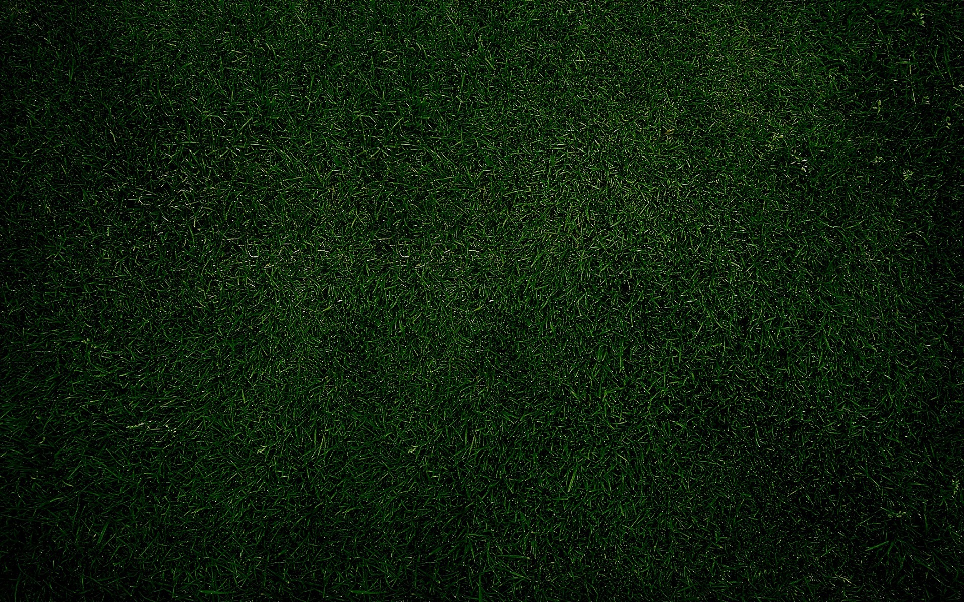 Green Grass Plain Desktop HD Wallpaper Rocks
