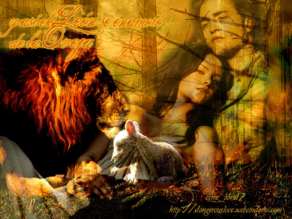Lion And Lamb Patrisha727 Wallpaper