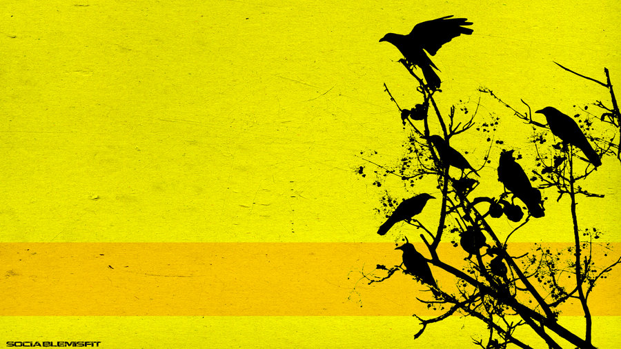Black Crows Wallpaper By Sociablemisfit