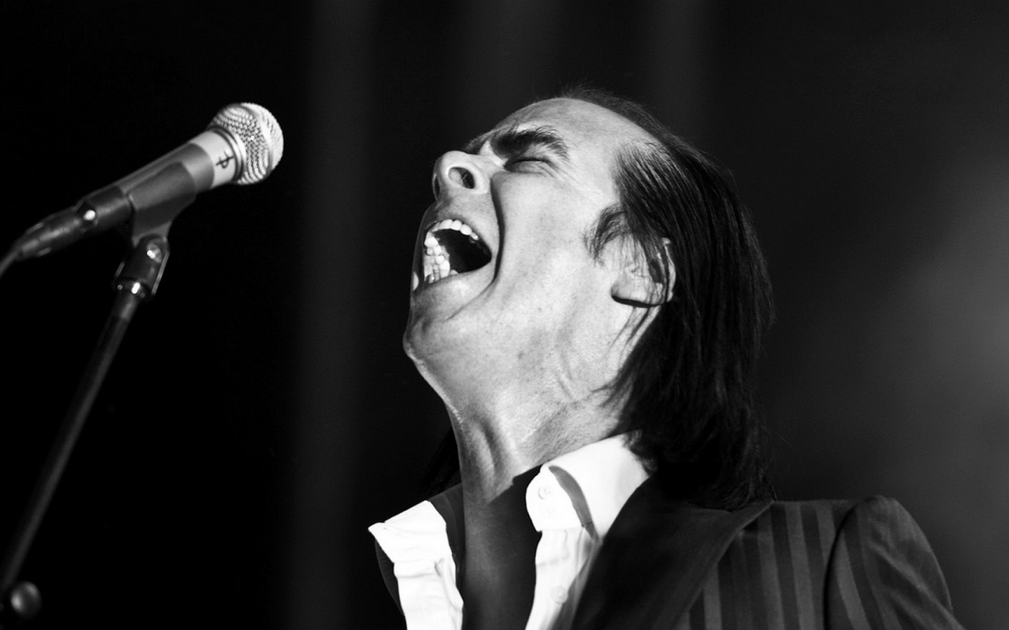 Wallpaper Nick Cave Show Microphone