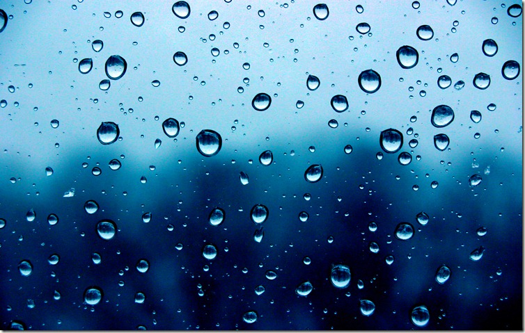 Beautiful Rain Drops HD Wallpaper Pack   Tech Bug   Best HD Wallpapers