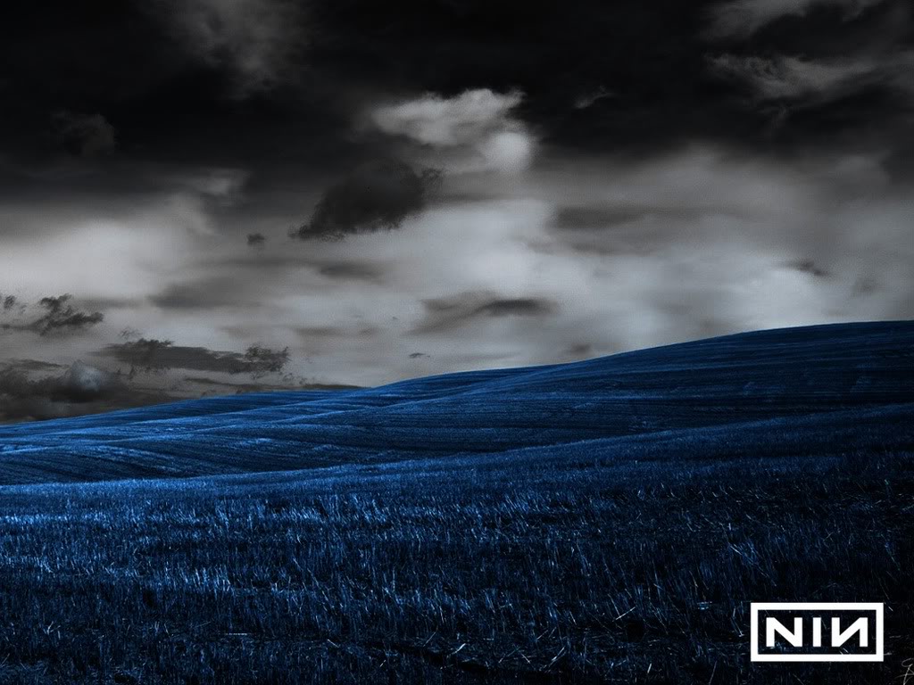 Nin Blue Grass Wallpaper Background Theme Desktop