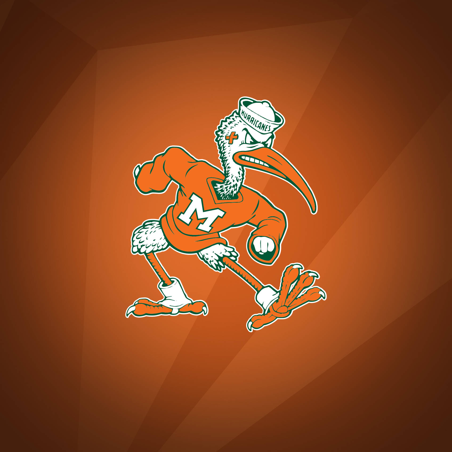 Top University Of Miami Wallpaper Full HD 4k To Use