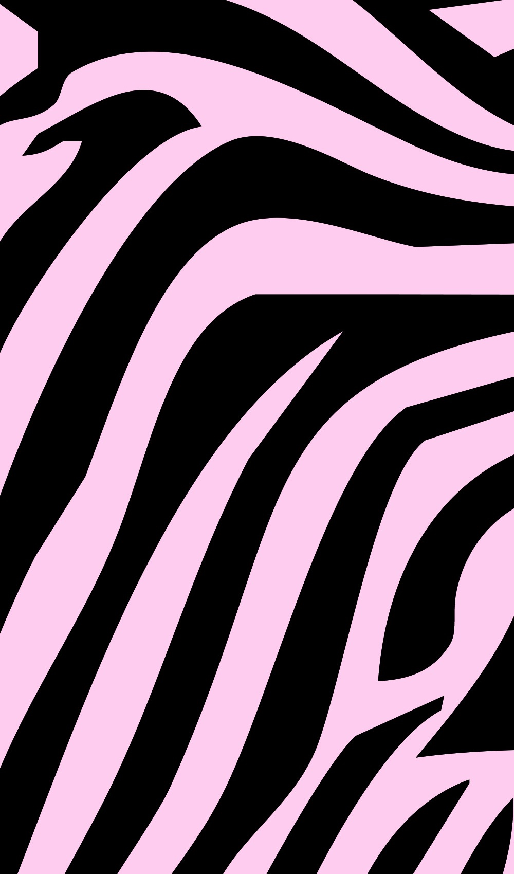 Pink Zebra Wallpaper iPhone