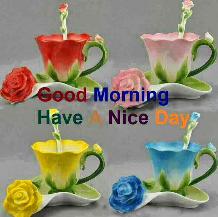 Lovely Cool Good Morning Have A Great Day