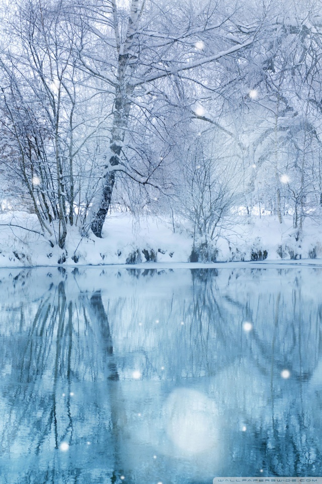 Winter Snowfall 4k HD Desktop Wallpaper For Ultra Tv