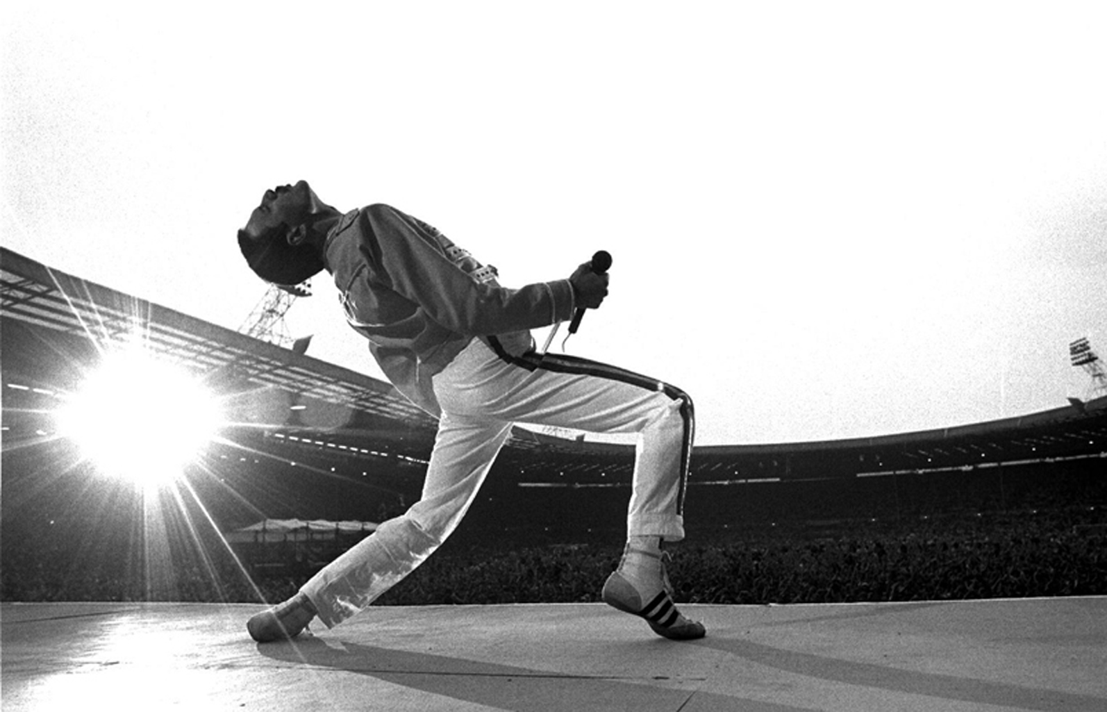 Bạn là một fan hâm mộ của Freddie Mercury và bạn muốn tải miễn phí hình nền của ông ấy? Chúng tôi có thể giúp bạn với bộ sưu tập hình nền Freddie Mercury miễn phí tuyệt đẹp của chúng tôi! Hãy tải ngay về điện thoại hay máy tính để bàn của bạn, và cảm nhận sự năng động và nghệ thuật của Freddie Mercury trong không gian của bạn! 