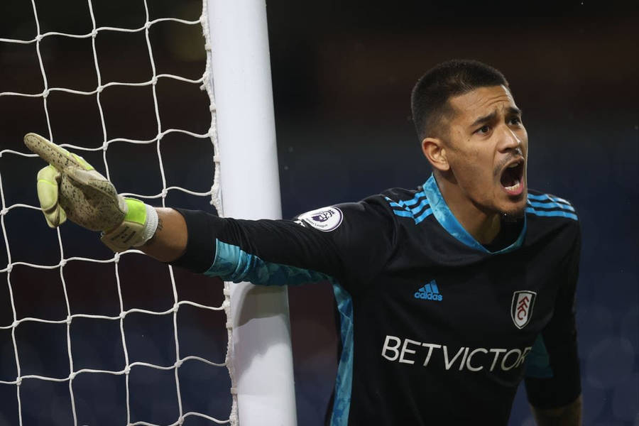 Alphonse Areola Wallpaper