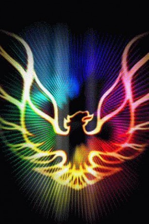 Color Firebird Live Wallpaper App For Android