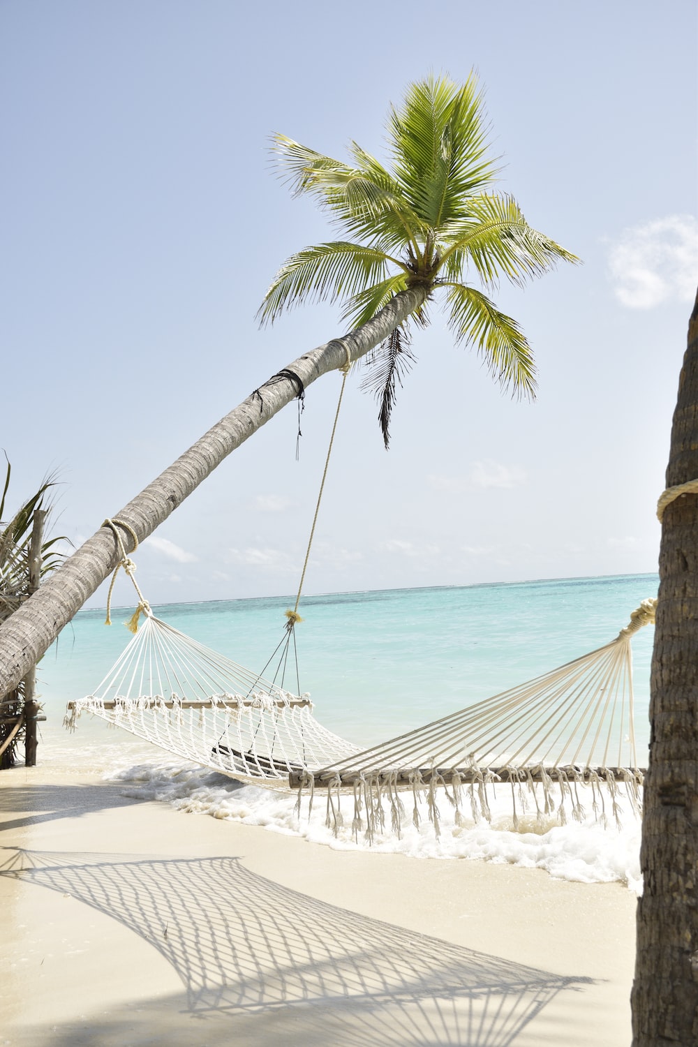 Beach Hammock Pictures Image