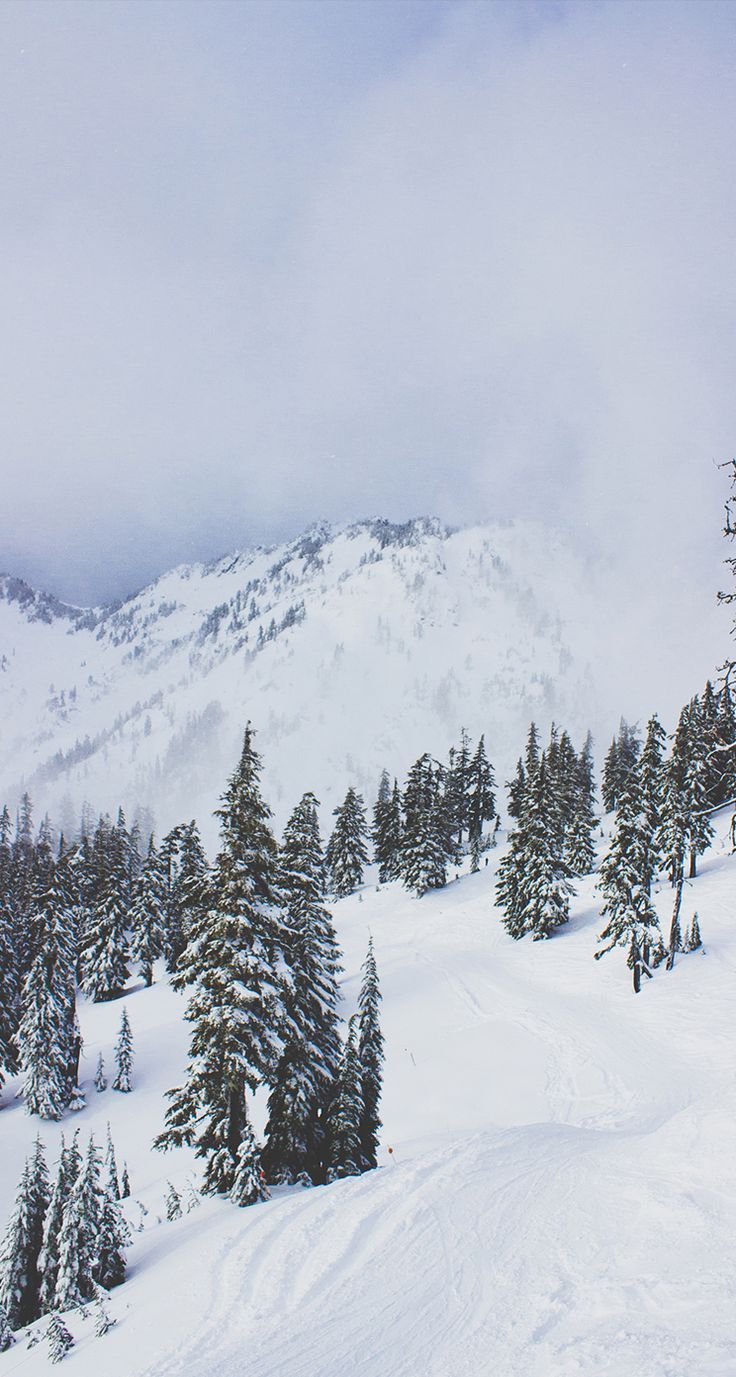 Tripping Down Ski Hills Wallpaper Basket iPhone