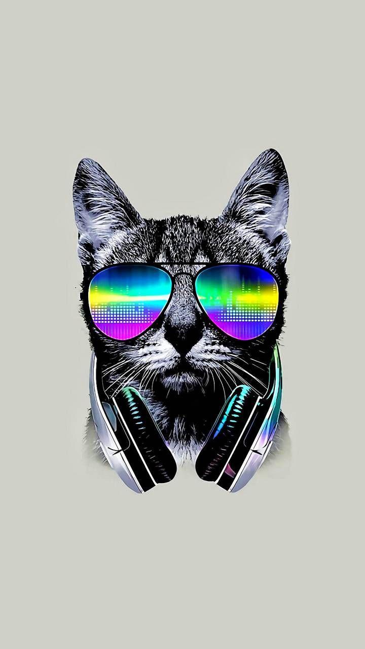 Cool Cat Wallpaper By Macac12897