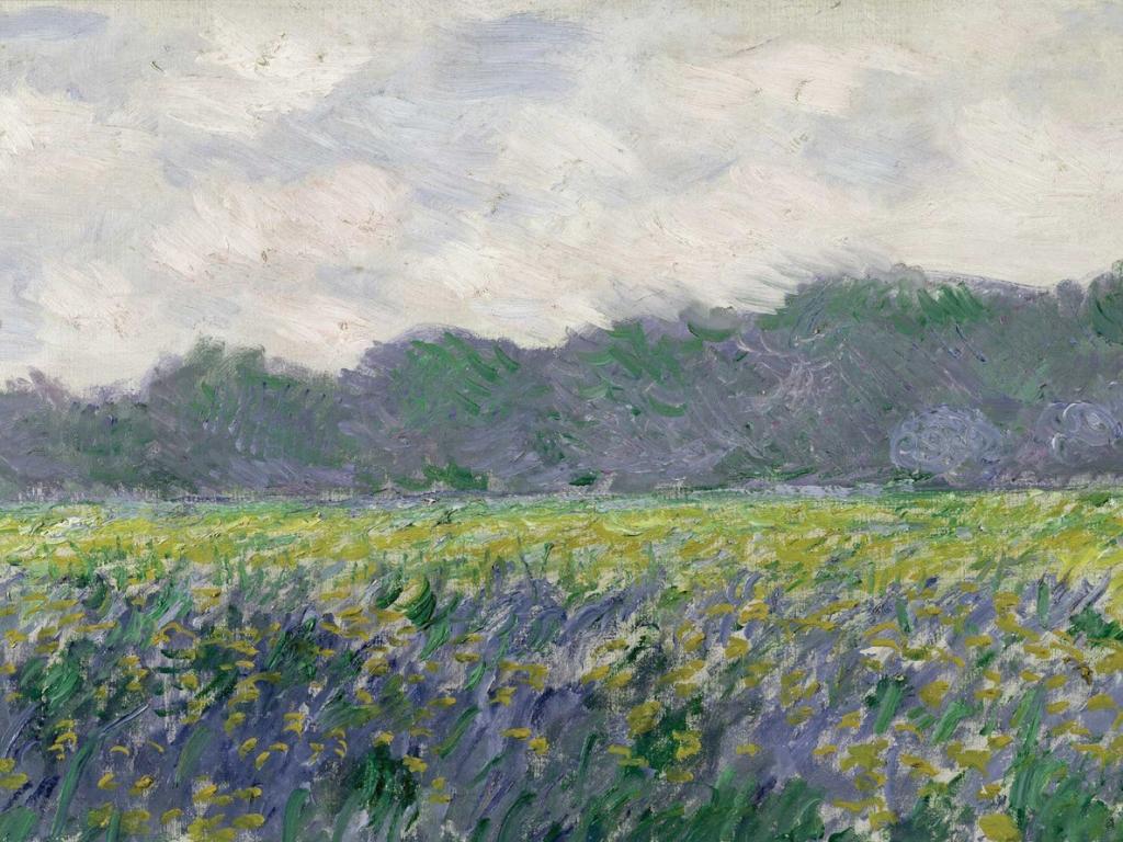 Fields Giverny Claude Mo Irises Impressionism Wallpaper