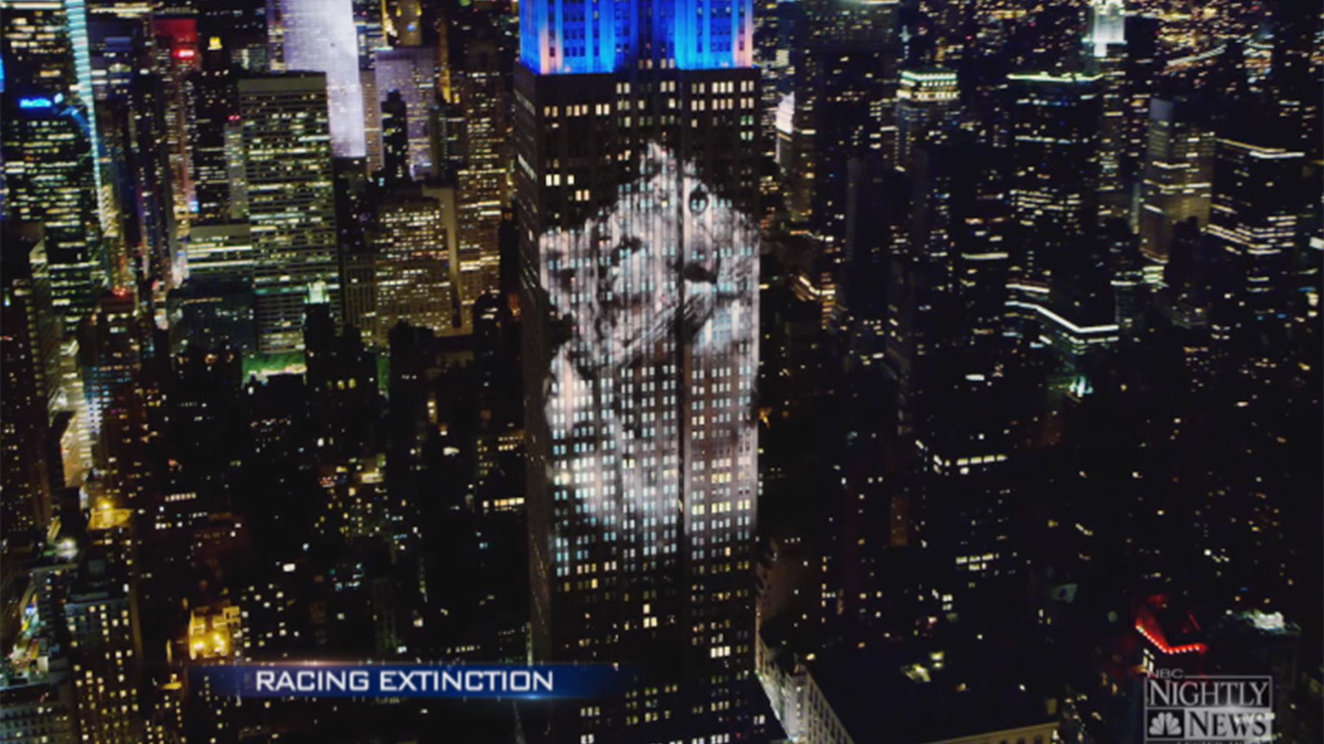 Racing Extinction Image Of Dying Species Projected Onto Empire