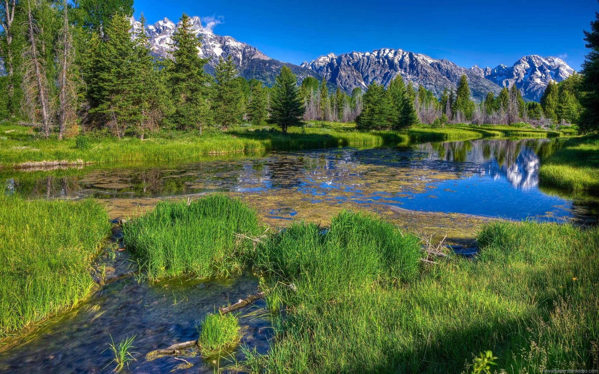 Scenic landscape with a stream, pond, green grass, trees, and snow-capped mountains in the background