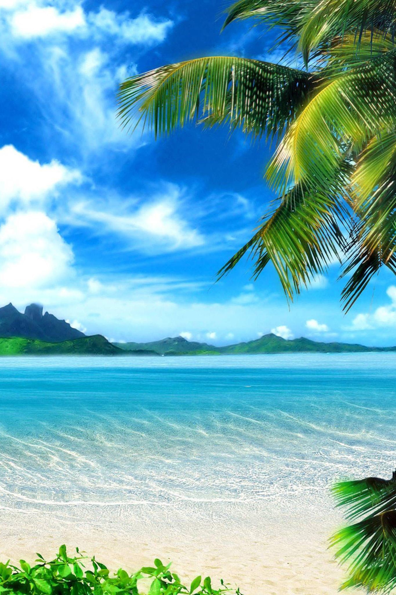 Wallpaper Tropical Scenes