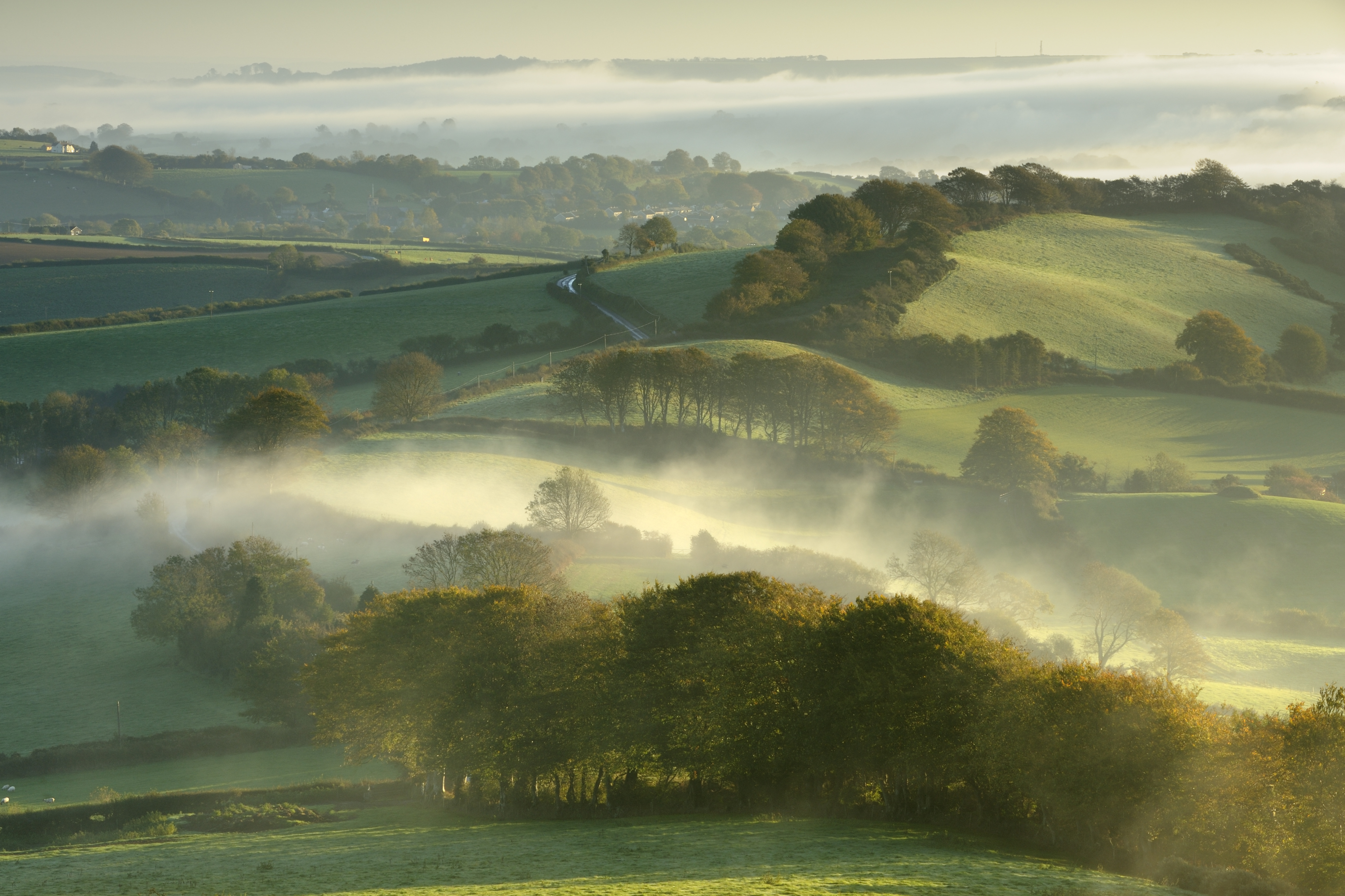  Mist Going Over Green English Rolling Hills for your Desktop Wallpaper