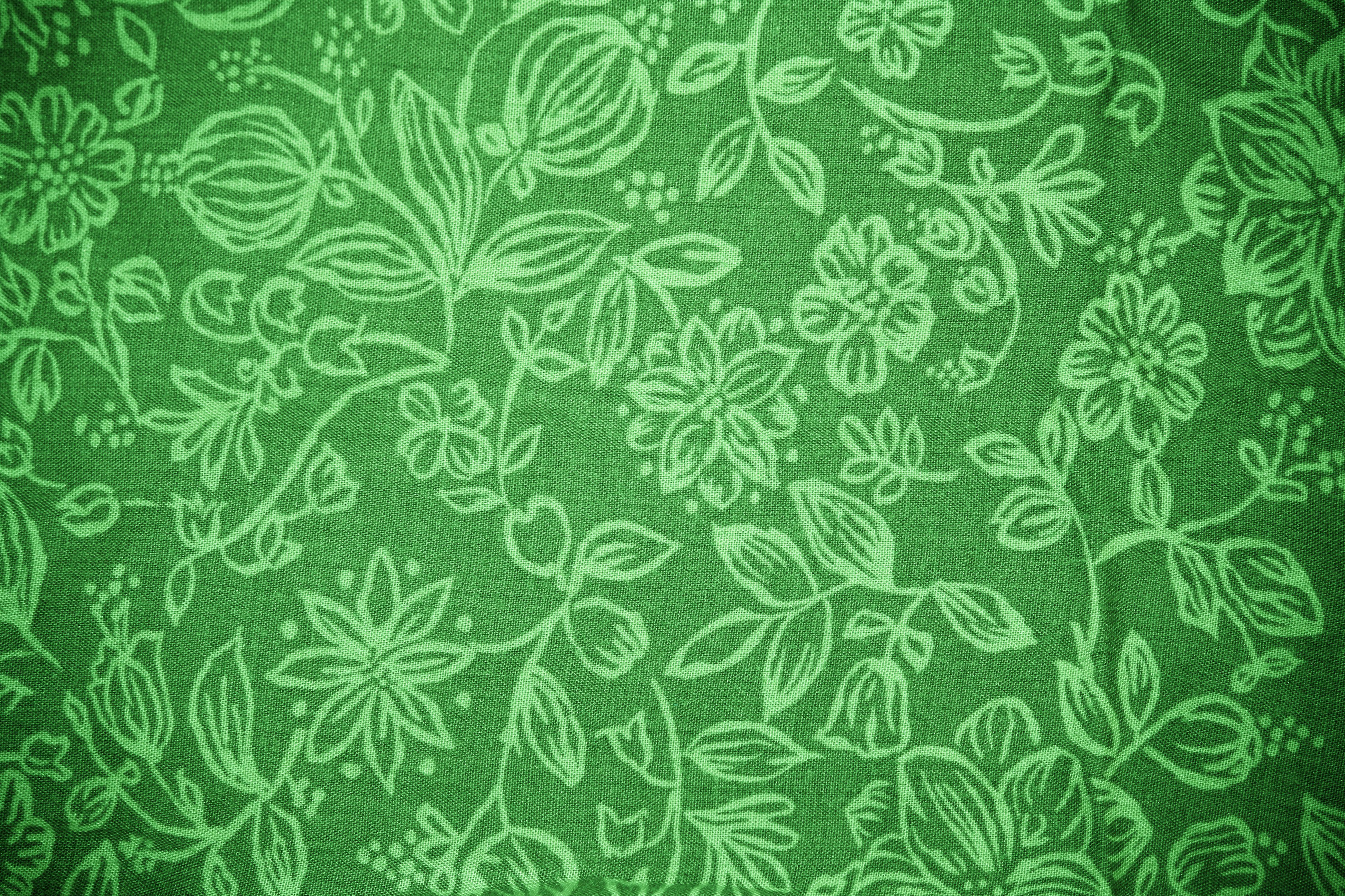 Green Fabric with Floral Pattern Texture   Free High Resolution Photo