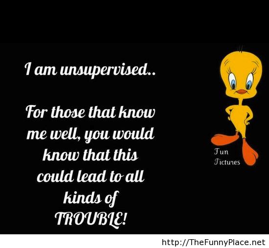 Tweety Quote With Wallpaper Funny Pictures Awesome Image