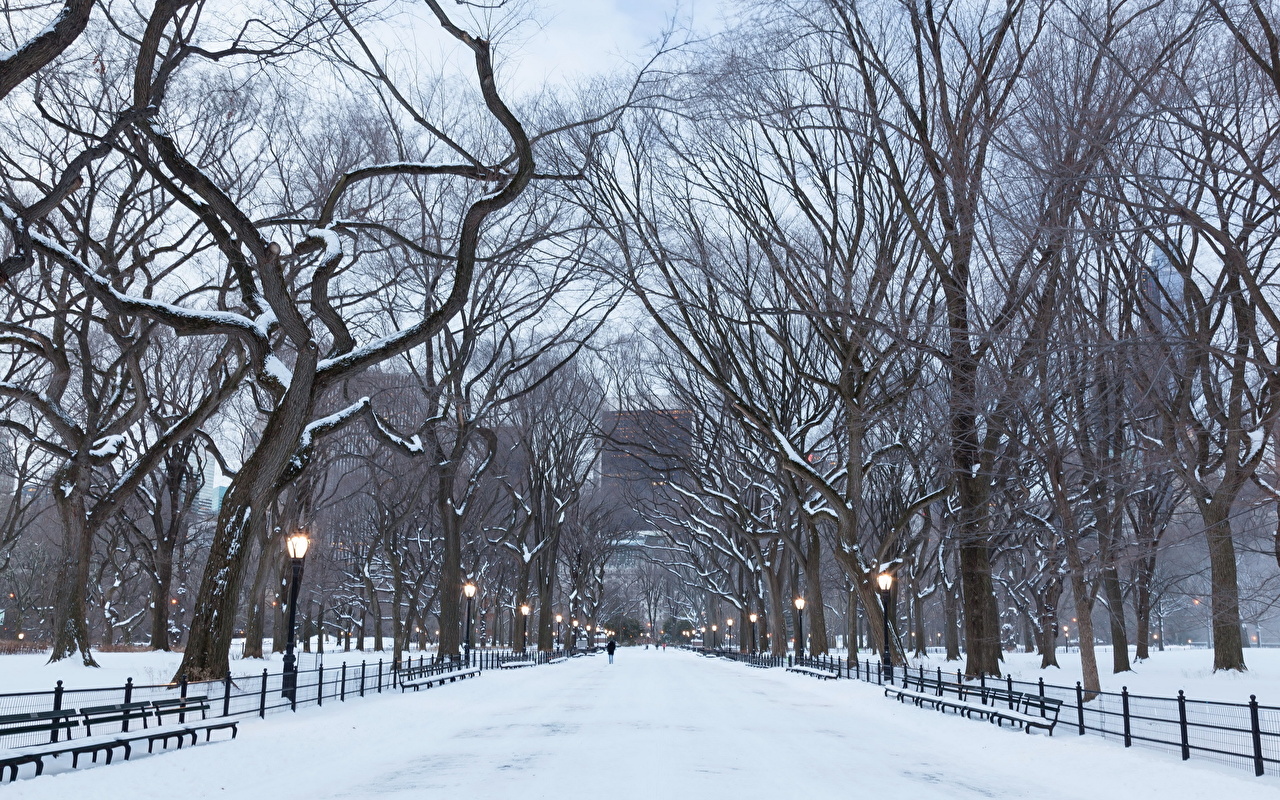 Desktop Wallpaper New York City Usa Manhattan Central Park Allee
