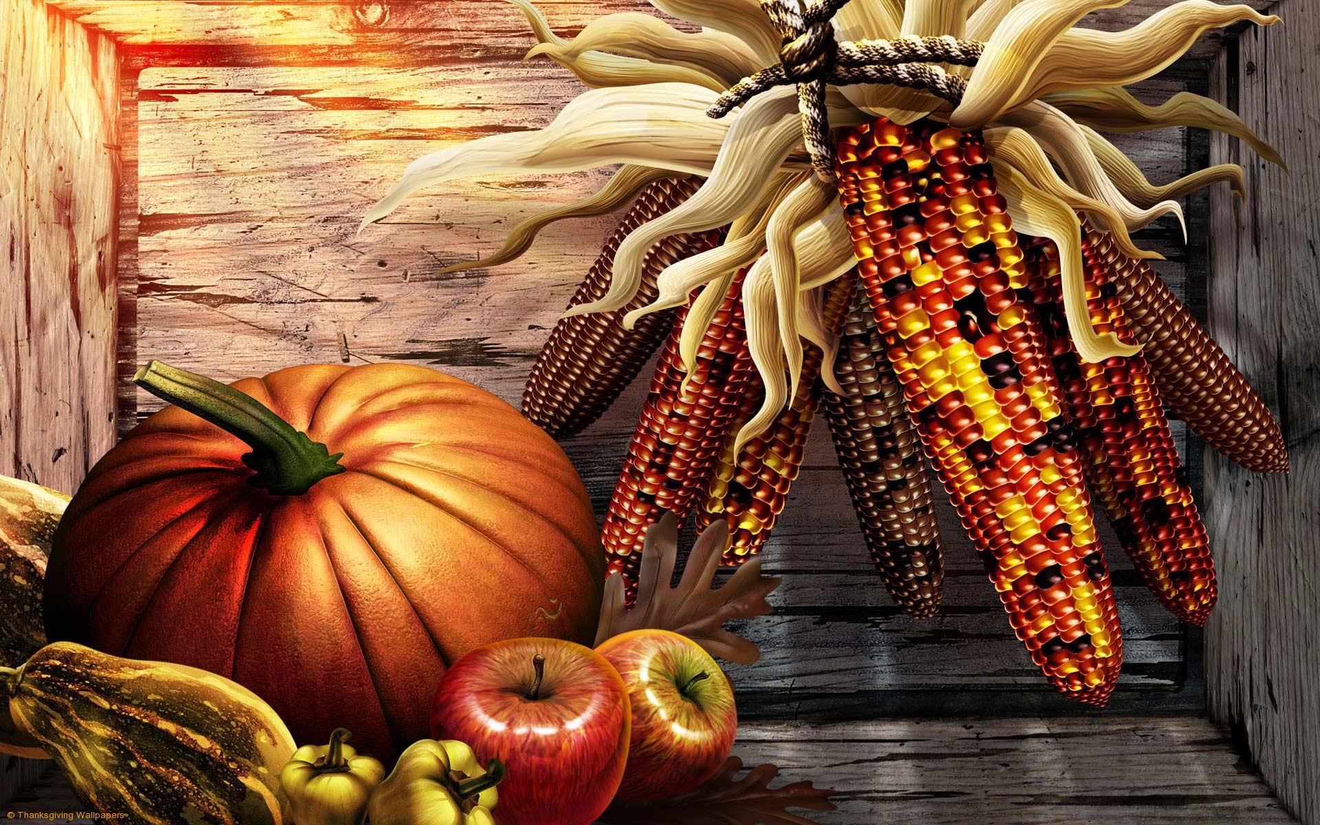 Thanksgiving Corn Wallpaper Desktop