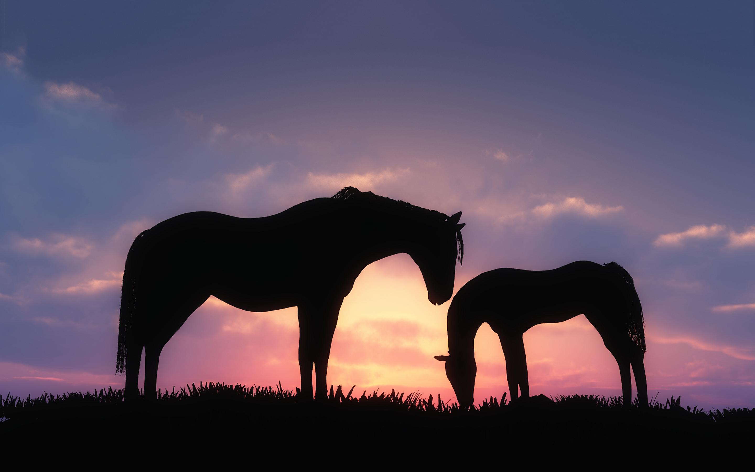 Cgi Horses Sunset Rare Gallery HD Wallpaper