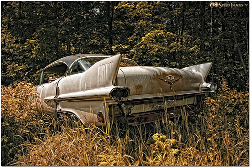 Abandoned Cars And Trucks Photo Pictures