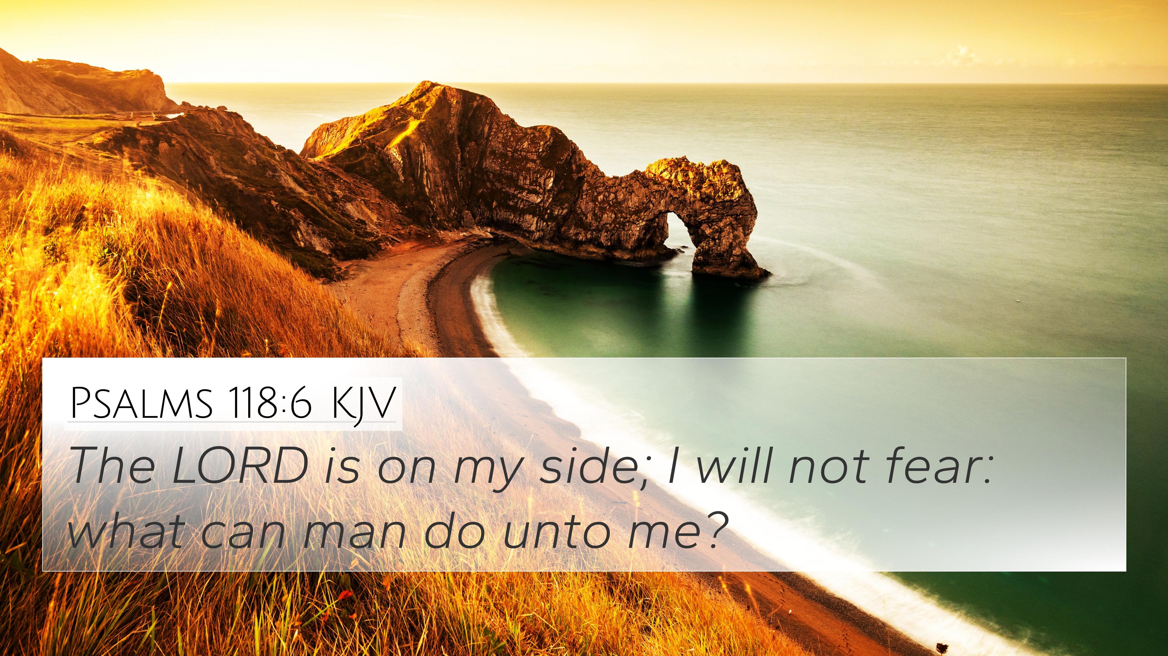 Psalms Kjv 4k Wallpaper The Lord Is On My Side I Will Not
