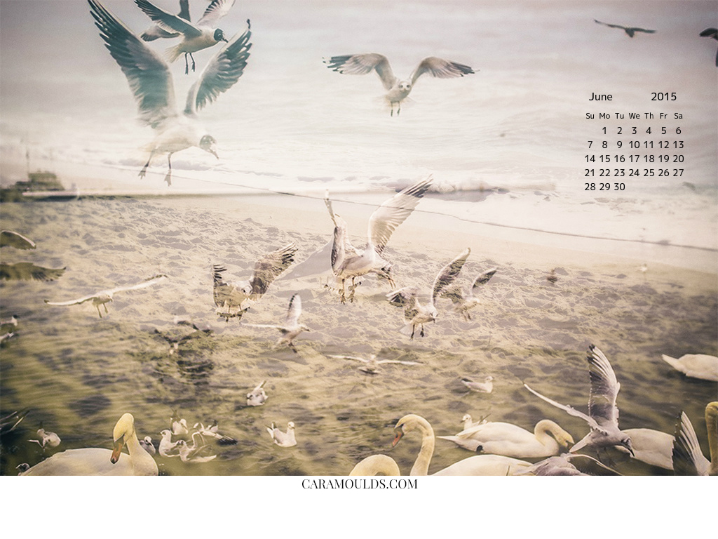 Desktop Wallpaper Calendar June Cara Moulds