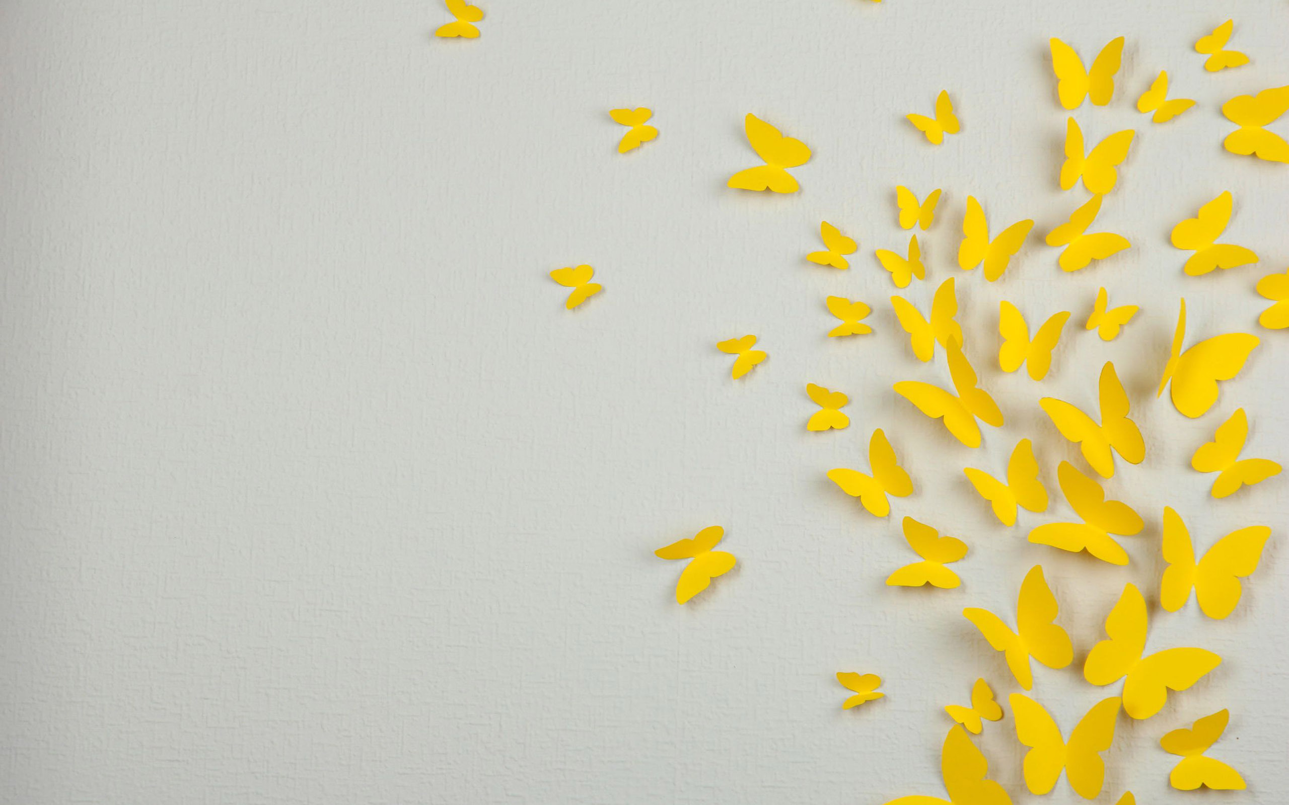 48+] Yellow and White Wallpaper - WallpaperSafari
