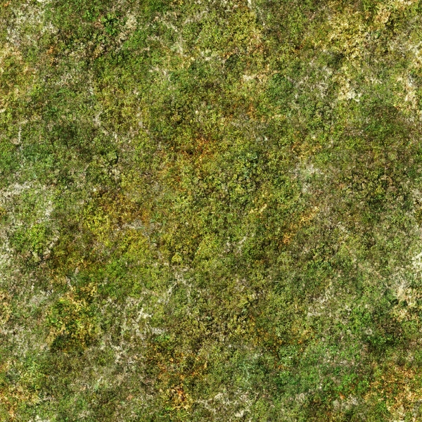 Grass Green Textures Scrublands Wallpaper