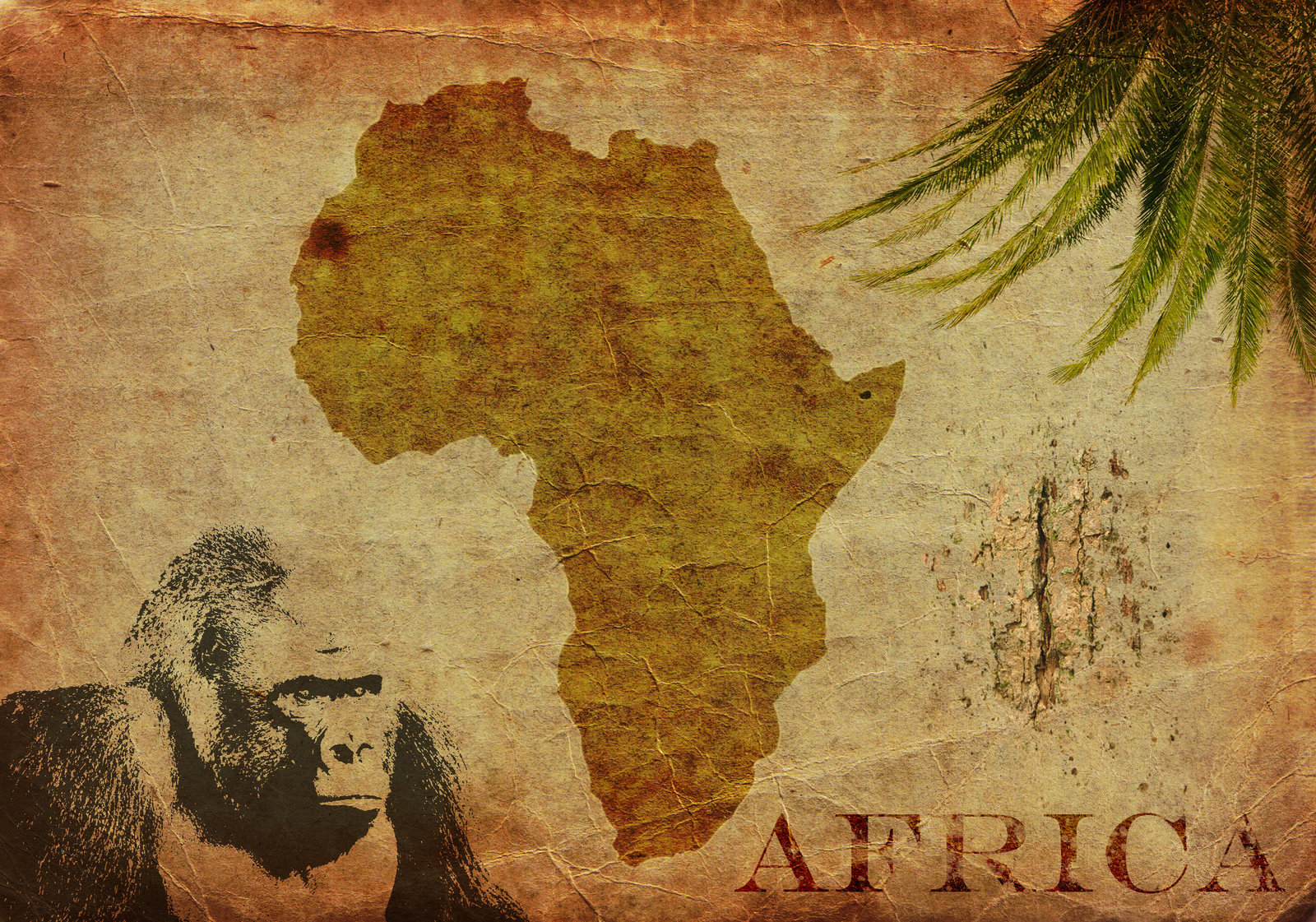 Toto Africa By Creatow