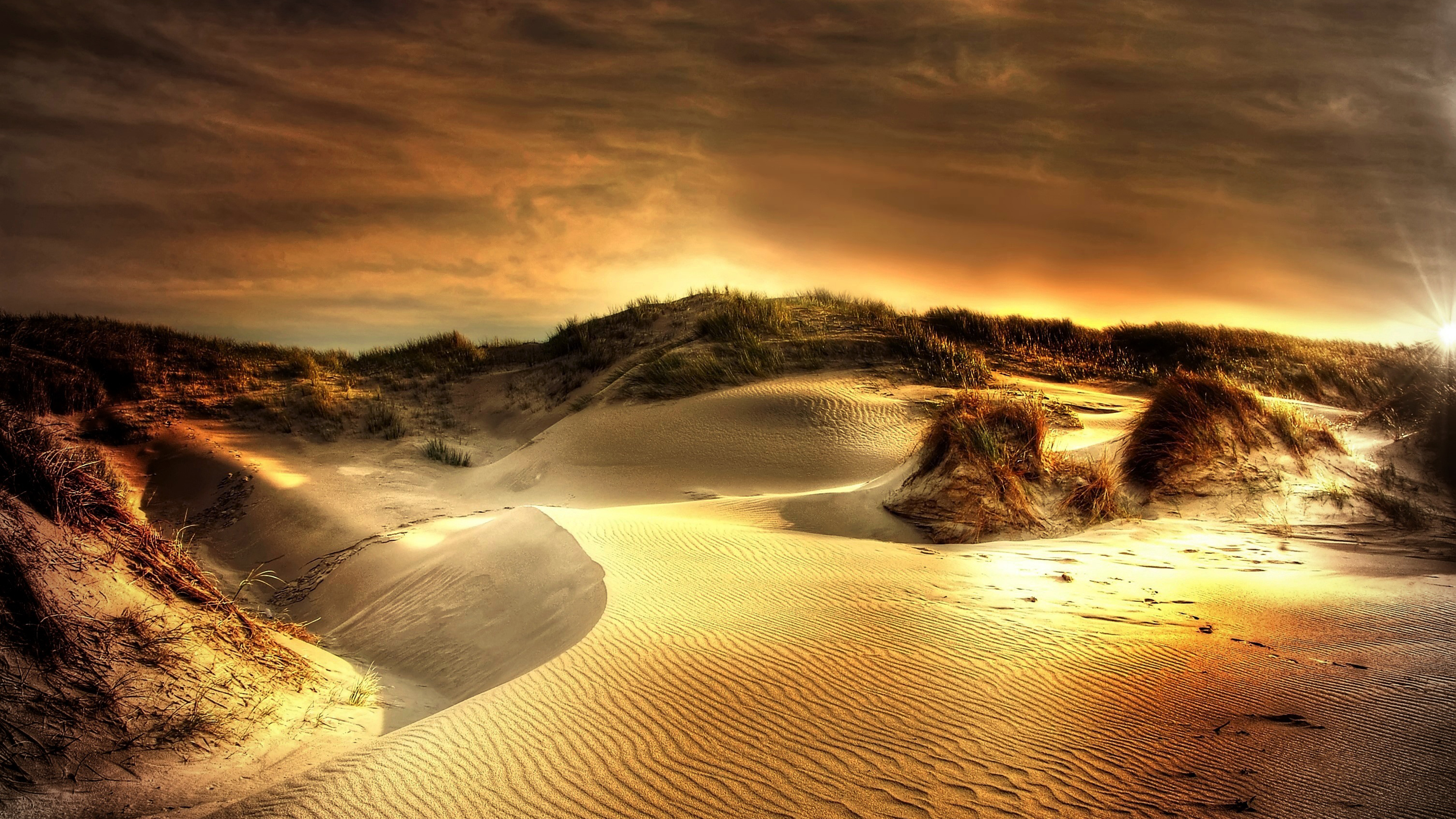 Dusky Sand Dunes Google Background