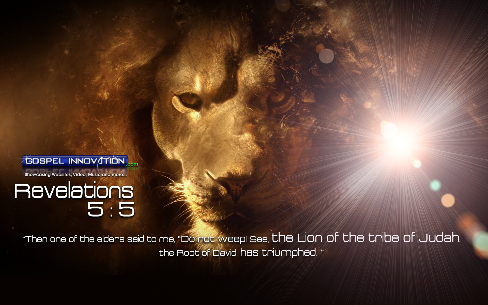 Related Pictures The Lion Of Judah HD Wallpaper This