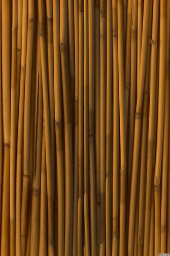 Bamboo Wallpaper Designs Eco Friendly Interior Design A Guide